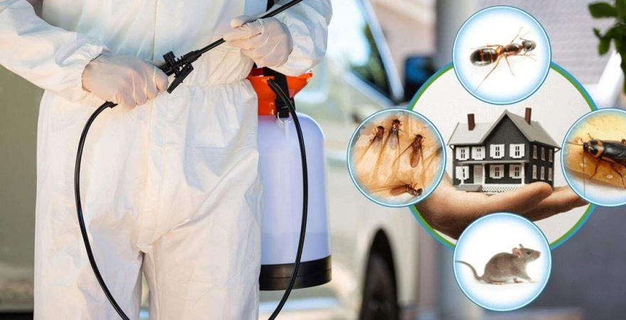 Erciş Böcek İlaçlama