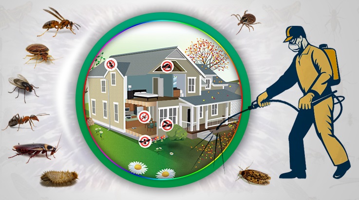 Erciş Böcek İlaçlama