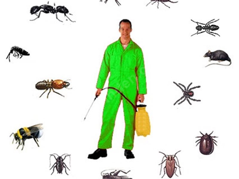 Erciş Böcek İlaçlama